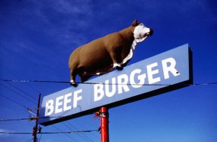 beefburger_(Flickr)