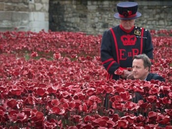 UKcameron-inPoppies