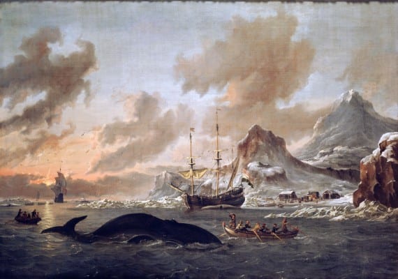 Dutch whalers, murdering these animals in 1690, for profit, of course. Looking at nature and animals as mere tools for self-enrichment is an old concept endorsed by many religions. (Wikipedia)