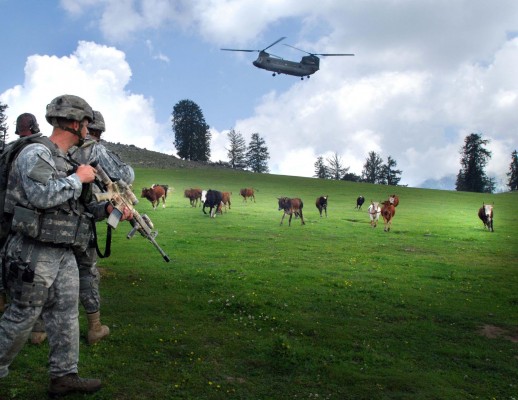 What the hell are these Americans scaring cows in Afghanistan? When is our meddling in our nations destinies going to stop? (Photo: USA, via flickr)