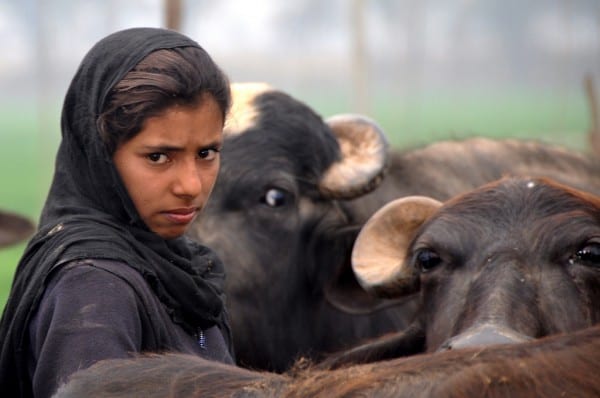 indianFarmerGirl