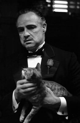 Godfather-marlon-brando-32419872-456-700