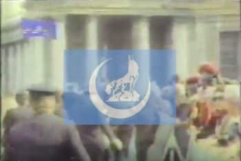 The Flag of the "The Grey Wolve," a Turkish nationalist, rightist, organization. From video by Alexander Chopov.