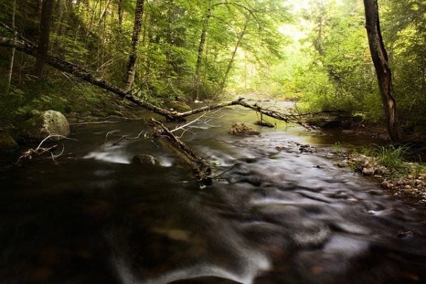 Robertson Creek. Credit: Billy Wilson - flickr.